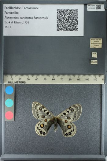 Media type: image;   Entomology 180328